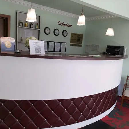 Orhideea Hostel